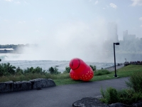 Patrick Stephenson (BEARPAD) - Chose Trip Niagara Fall New York