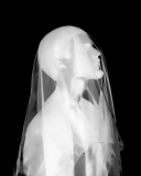 Will Henry - Veil