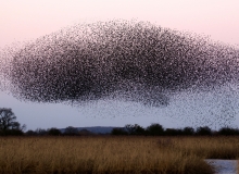 james-wainscoat-b7MZ6iGIoSI