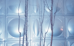 Echo-Cui-Ziheng-Untitled-2025