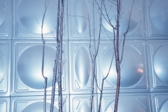 Echo-Cui-Ziheng-Untitled-2025