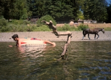 Carter Hiett, Horsing Around, 2020