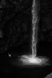 Mulafossur Waterfall with Bird