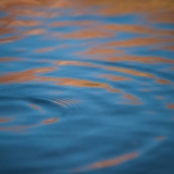 KCHarmon_120719_2745-Edit-BORDERLESS-PSD