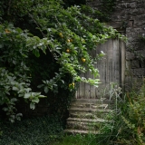KCHarmon_150908_2337-cg