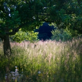 KCHarmon_160607_4194-cg