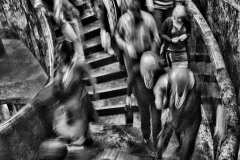  Speed © Petr Jilek