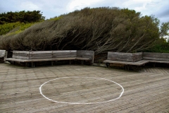 Landing Pad, 2023 © Murray Margaret 