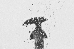  Rain Day © Al-Noor Shamim 