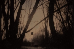 "Birdhouse"