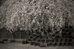 "Potting House"