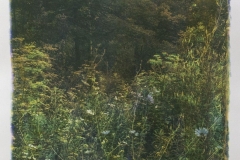 "Along the Road 21," 2019. Gum Bichromate over Cyanotype