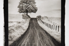 "Road, Fence and Tree," 2018. Platinum Palladium