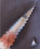 1_Nadine-Defranoux_Bloody-Aloe