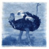 Photo © Amanda Colon, Jolene