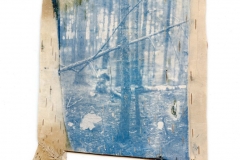 "In the Woods (Untitled 28)"