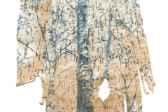 "In the Woods (Untitled 44)"