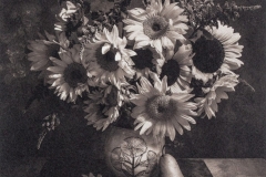 "From the Sunflower Garden"