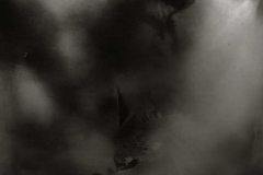 gallery-alt-process-2018-39-Ecco-Wang-Ashes