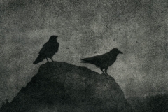 gallery-alt-process-2018-43-Daren-You-Ravens