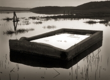 Flooded Cattle Trough - Rush Creek Marsh, California Flooded Cattle Trough - Rush Creek Marsh, California