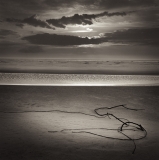tangled-root-on-beach tangled-root-on-beach
