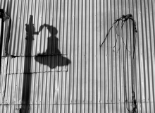 Black & White - Photo of the Month
