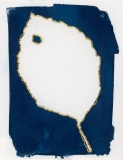 Page_Sullivan_Cyanotype_Leaf