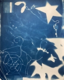Page_Sullivan_Cyanotype_Photogram1