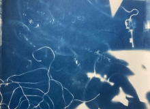 Page_Sullivan_Cyanotype_Photogram1