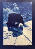 Page_Sullivan_Cyanotype_Shell-Collecting Page_Sullivan_Cyanotype_Shell-Collecting