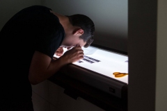 Darkroom Rental at The Image Flow