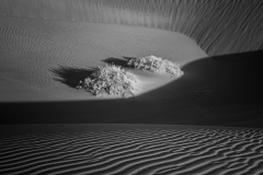 Photo © Liz Caroli