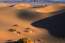 Photo © Stephen Hanrahan