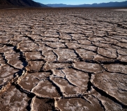 Photo © Stephen Hanrahan