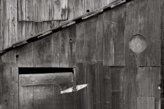 Photo © Rory Earnshaw