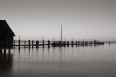 Photo © Rory Earnshaw