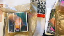 Encaustic Photography Workshop Encaustic Photography Workshop