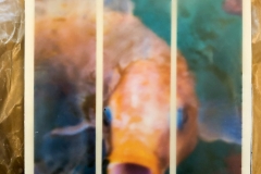 Encaustic Photography Workshop