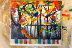 Encaustic Photography Workshop