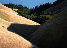 halpern_imageflow-3 halpern_imageflow-3