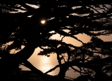 halpern_imageflow-4 halpern_imageflow-4