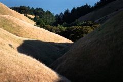 halpern_imageflow-3