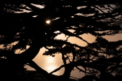 halpern_imageflow-4