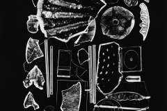 Photogram © Sarah Rose Weitzman