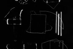 Photogram © Sarah Rose Weitzman
