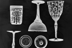 Photogram © Sarah Rose Weitzman
