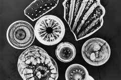 Photogram © Sarah Rose Weitzman