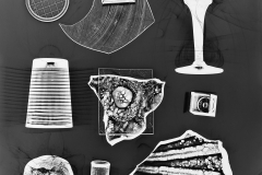 Photogram © Sarah Rose Weitzman