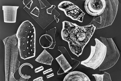 Photogram © Sarah Rose Weitzman